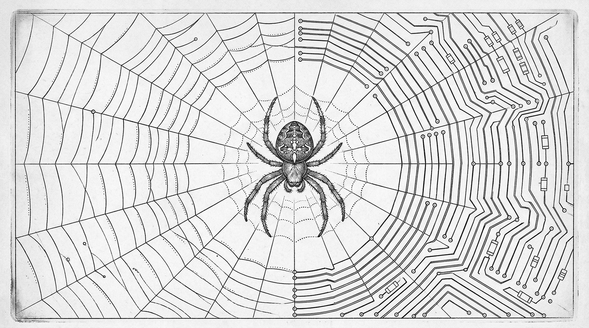Spider web dissolving into PCB circuit traces — the relay architecture
